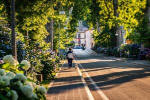 朝の静かな街路樹を犬の散歩をしている少年の後ろ姿