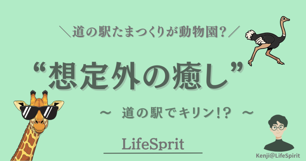 道の駅たまつくりにいるキリンとダチョウ。仕事の休憩中にトラックドライバーが出会った想定外の癒し