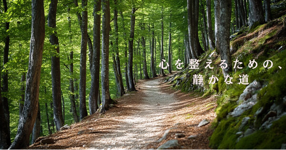 森の中を続く小道と木漏れ日｜心を整える静かな道のイメージ