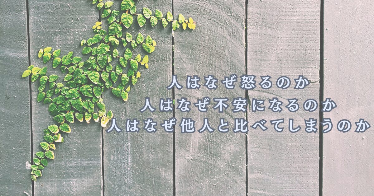 怒り・不安・比較の悩みをテーマにしたおすすめ記事一覧のイメージ